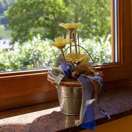 Wein- Und Gaestehaus Michels