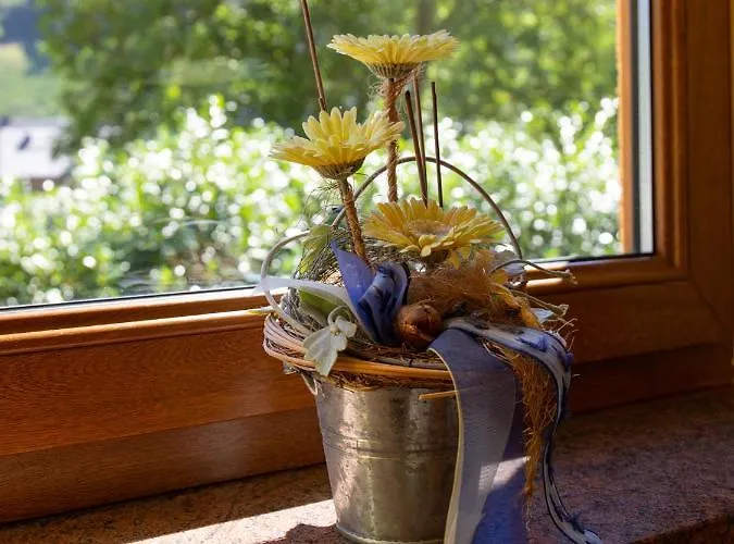 Wein- Und Gaestehaus Michels